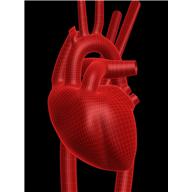 cardiac biometers