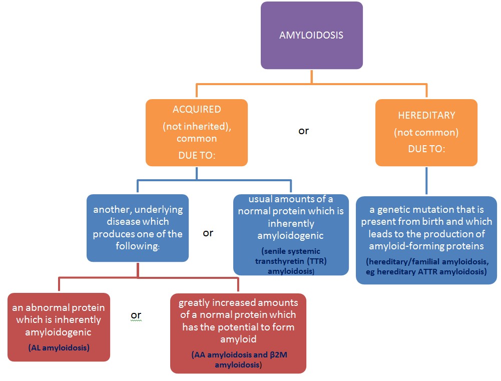 amyloidosis acq hereditary